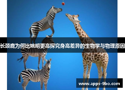 长颈鹿为何比姚明更高探究身高差异的生物学与物理原因