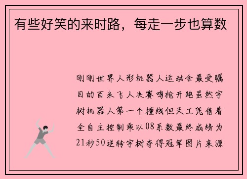 有些好笑的来时路，每走一步也算数